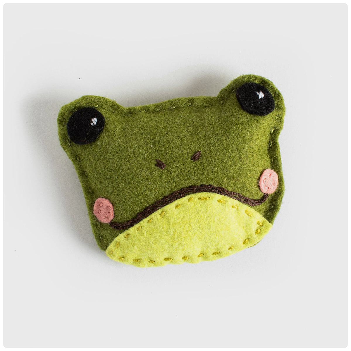 Fran the Optimistic Frog Craft Kit